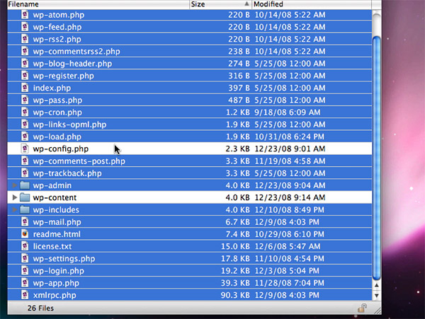 Deleting your WordPress core files